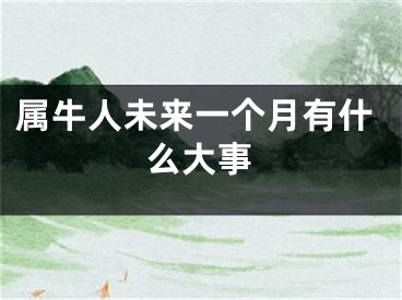 属牛人未来一个月有什么大事