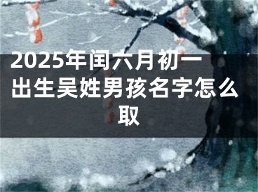 2025年闰六月初一出生吴姓男孩名字怎么取