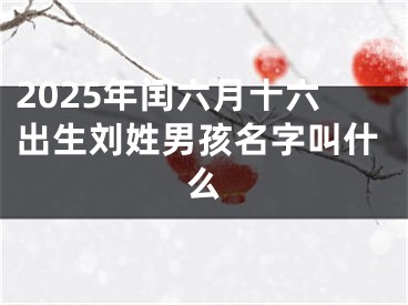 2025年闰六月十六出生刘姓男孩名字叫什么