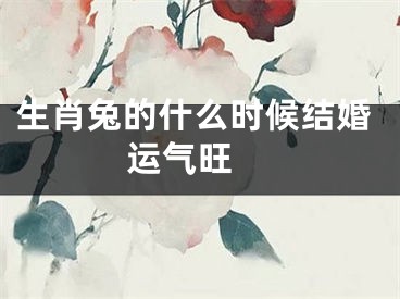 生肖兔的什么时候结婚运气旺 