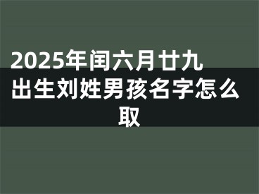 2025年闰六月廿九出生刘姓男孩名字怎么取