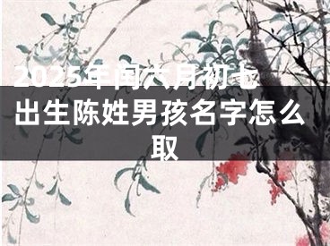 2025年闰六月初七出生陈姓男孩名字怎么取