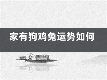 家有狗鸡兔运势如何