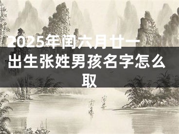 2025年闰六月廿一出生张姓男孩名字怎么取
