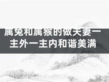 属兔和属猴的做夫妻一主外一主内和谐美满