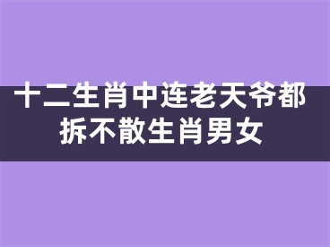 十二生肖中连老天爷都拆不散生肖男女