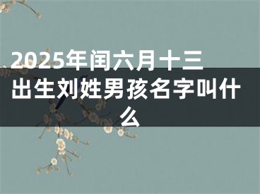 2025年闰六月十三出生刘姓男孩名字叫什么