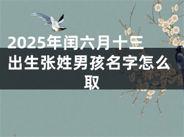2025年闰六月十三出生张姓男孩名字怎么取