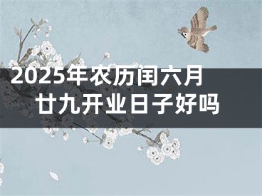 2025年农历闰六月廿九开业日子好吗