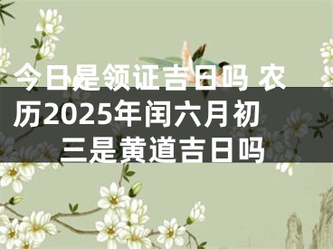 今日是领证吉日吗 农历2025年闰六月初三是黄道吉日吗
