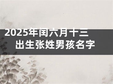 2025年闰六月十三出生张姓男孩名字