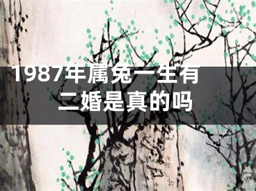 1987年属兔一生有二婚是真的吗