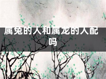 属兔的人和属龙的人配吗