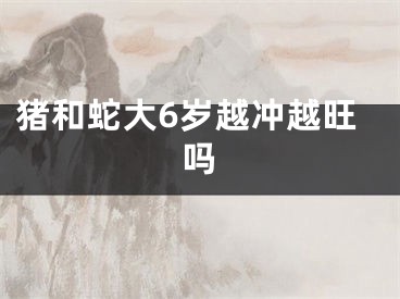 猪和蛇大6岁越冲越旺吗