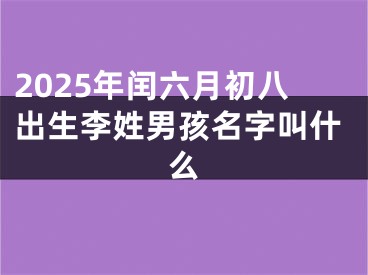 2025年闰六月初八出生李姓男孩名字叫什么