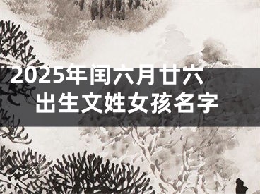 2025年闰六月廿六出生文姓女孩名字