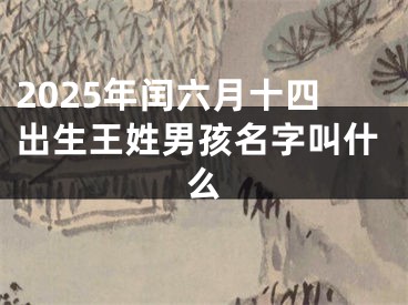 2025年闰六月十四出生王姓男孩名字叫什么