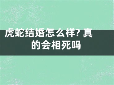 虎蛇结婚怎么样? 真的会相死吗
