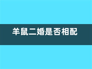 羊鼠二婚是否相配