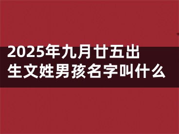 2025年九月廿五出生文姓男孩名字叫什么