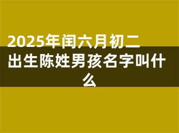 2025年闰六月初二出生陈姓男孩名字叫什么