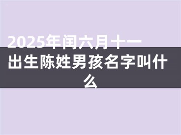2025年闰六月十一出生陈姓男孩名字叫什么
