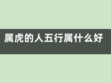 属虎的人五行属什么好