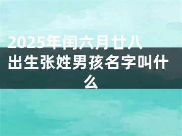 2025年闰六月廿八出生张姓男孩名字叫什么