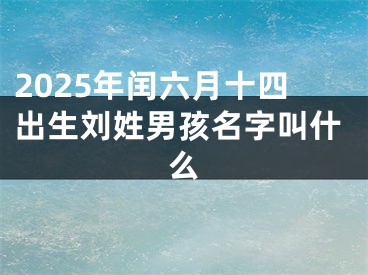 2025年闰六月十四出生刘姓男孩名字叫什么