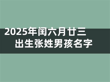 2025年闰六月廿三出生张姓男孩名字