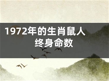 1972年的生肖鼠人终身命数