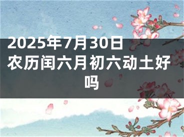2025年7月30日农历闰六月初六动土好吗