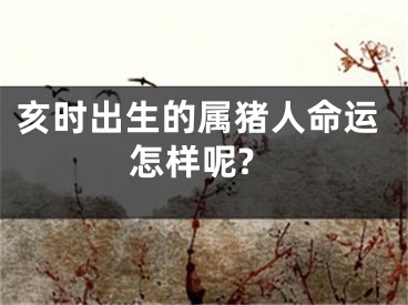亥时出生的属猪人命运怎样呢?
