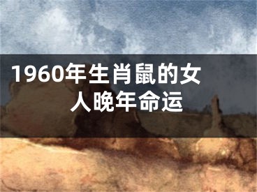 1960年生肖鼠的女人晚年命运