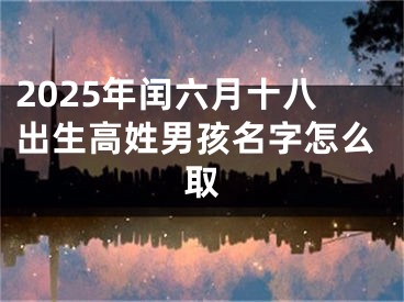 2025年闰六月十八出生高姓男孩名字怎么取