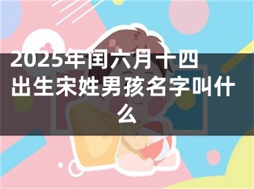 2025年闰六月十四出生宋姓男孩名字叫什么