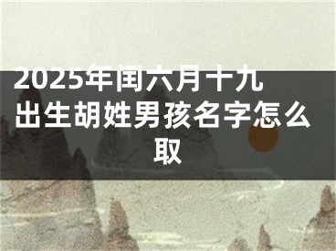2025年闰六月十九出生胡姓男孩名字怎么取