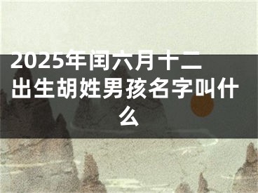 2025年闰六月十二出生胡姓男孩名字叫什么