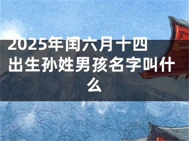 2025年闰六月十四出生孙姓男孩名字叫什么