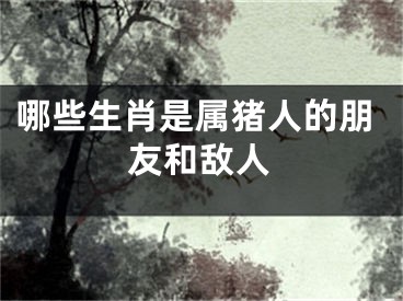 哪些生肖是属猪人的朋友和敌人