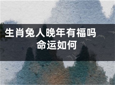 生肖兔人晚年有福吗 命运如何