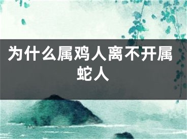 为什么属鸡人离不开属蛇人