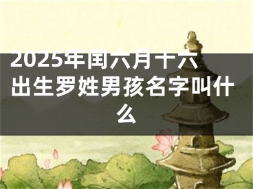 2025年闰六月十六出生罗姓男孩名字叫什么