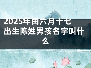2025年闰六月十七出生陈姓男孩名字叫什么