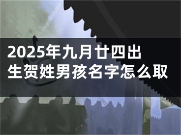 2025年九月廿四出生贺姓男孩名字怎么取