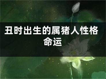 丑时出生的属猪人性格命运