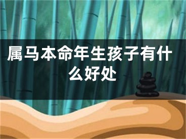 属马本命年生孩子有什么好处