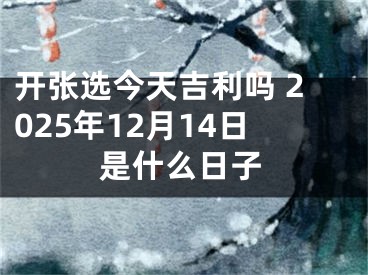 开张选今天吉利吗 2025年12月14日是什么日子