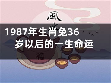 1987年生肖兔36岁以后的一生命运