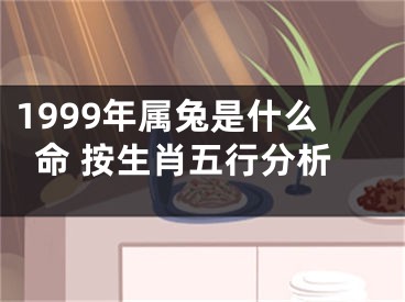 1999年属兔是什么命 按生肖五行分析
